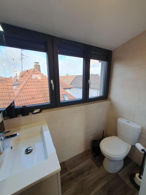 Appartement 2 Pieces Tout Confort, Aux Portes De Colmar Andolsheim 외부 사진