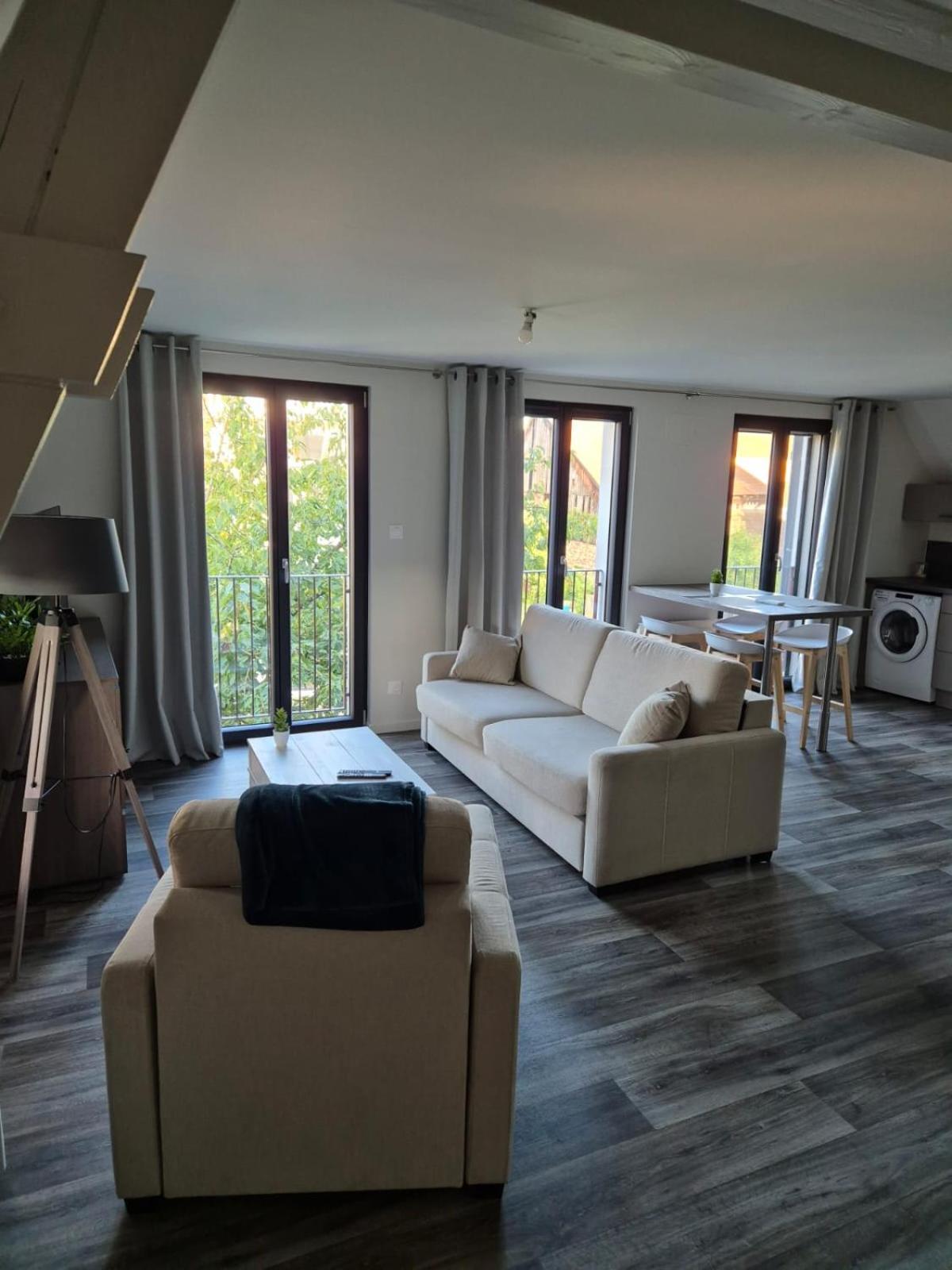 Appartement 2 Pieces Tout Confort, Aux Portes De Colmar Andolsheim 외부 사진